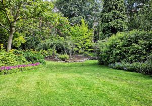 Optimiser l'expérience du jardin à Bedeilhac-et-Aynat